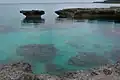 Coral reef off Lifou Island