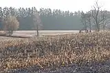 Corn field near Walsh after picking.