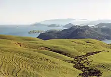 Northern Coromandel Peninsula landscape in the Coromandel Volcanic Zone