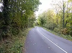 Country road separating Tuitestown (right) and Gartlandstown (left) townlands