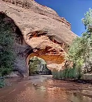 Coyote Natural Bridge