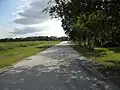 Looking south to FM 762 on Payne Lane