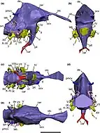 Blue 3D model of a brain