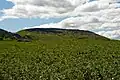 Cringle Moor from Bank Lane