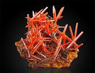 Crocoite from Adelaide Mine, Dundas mineral field, Zeehan District, Tasmania, Australia