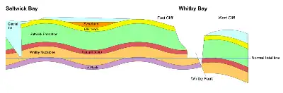 A cross-section of the cliffs between Saltwick Bay and Whitby Bay in North Yorkshire, England