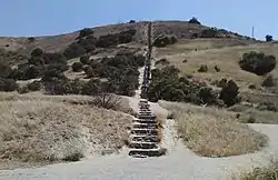 Staircase, looking south/up (2013)