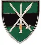 SANDF Infantry wide shoulder flash