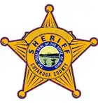 Sheriff's badge