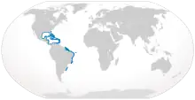 Caribbean reef shark geographic range