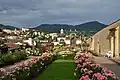 Děčín Castle's Rose Garden