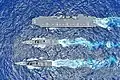 JS Akebono, JS Murasame and JS Izumo on 26 July 2019.