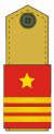 Colonel