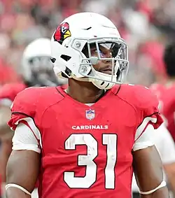 David Johnson, NFL Pro Bowler and record holder