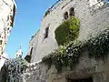 Green spaces in a street of Deir El-Qamar