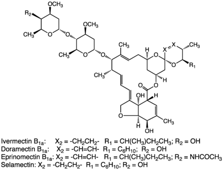 Avermectins are structurally related to emamectin