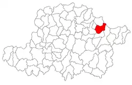 Location in Arad County