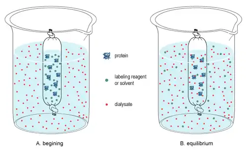 Small-molecule dialysis using dialysis tubing