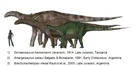  Size comparison