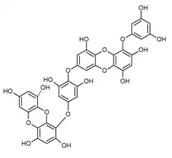 Chemical structure of dieckol