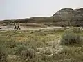 Dinosaur Provincial Park