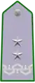 Shoulder insignia of a Dirigente Generale of the Corpo Forestale dello Stato