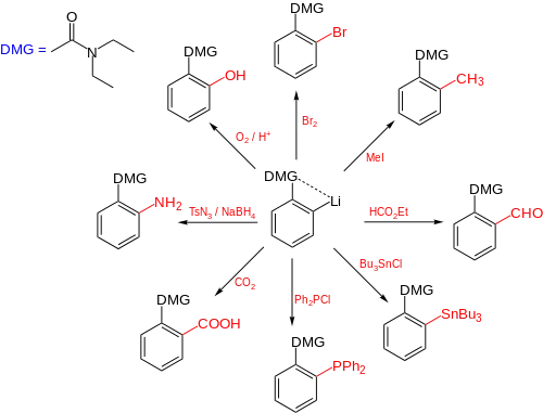 Scheme 2. Scope of DoM reactions (ref. Snieckus 1990)