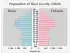 2010 Census Age Pyramid