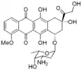 Doxorubicin