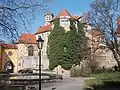 Droyßig Castle