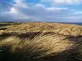 Druridge Bay