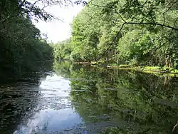 Little Danube in the village