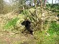 A brick lined culvert at Fergushill no 28 colliery