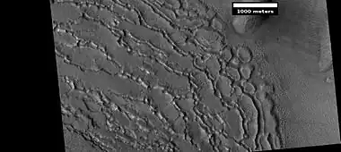 Well developed ribbed upper plains material.  These start with small cracks that expand as ice sublimates from the surfaces of the crack.  Picture was taken with HiRISE under HiWish program