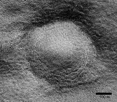 Close view of possible pingo with scale, as seen by HiRISE under HiWish program Pingos may contain a core of pure ice.