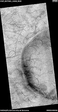 Wide view of dust devil tracks, as seen by HiRISE under HiWish program  Location is the Phaethontis quadrangle.