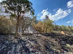 Burn scars from the East Canyon Fire on June 18, 2020