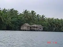 Houses on the East Rennell island