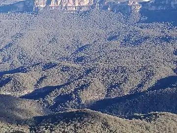 View across the Jamison Valley, from Echo Point