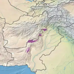 Ecoregion territory (in purple)