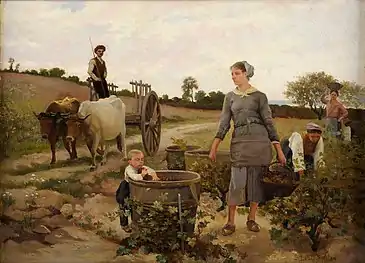 The grape harvest