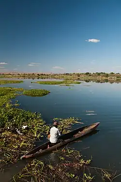 Manambina, on a lake