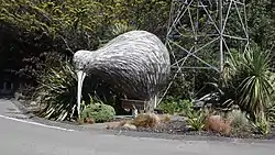 Photograph of the Eketāhuna Giant Kiwi