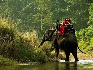 Chitwan National Park