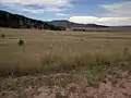 Elk Mountain from prairie