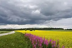 View towards Emumäe