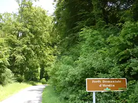 The entrance to the forest of Hesdin