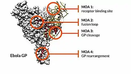 Epitope maps provide MOA information