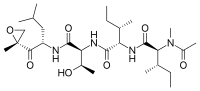 Epoxomicin