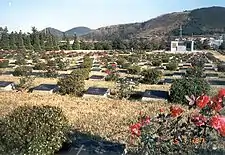 United Nations Memorial Cemetery